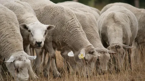 Un appel aux dons pour sauver le domaine des Douages