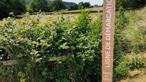 Un professeur d’histoire fait revivre la ligne de démarcation en...
