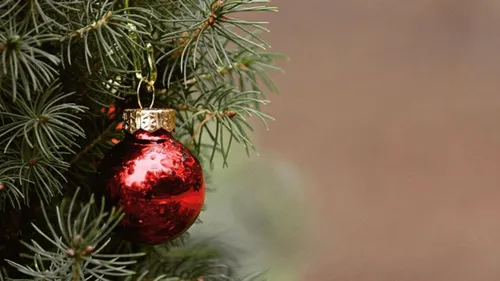 Châteauroux : une dizaine de points de collecte pour les sapins de...