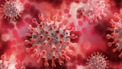 Covid-19 : le taux d’incidence repart en Gironde