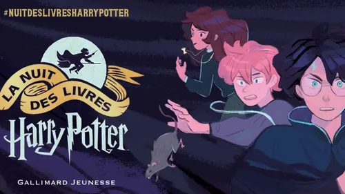 Nuit des livres Harry Potter au Mans : un quizz pour tester vos...