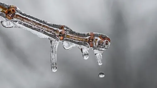 Vague de froid : l’État a débloqué des aides d’urgence pour les...