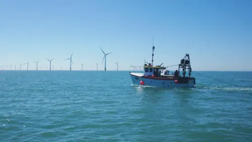 Charente-Maritime : le projet d'Oléron toujours critiqué