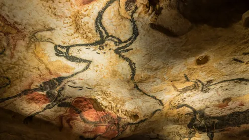 Bordeaux : Lascaux III de retour à Cap Sciences avant une nouvelle...