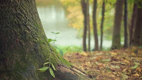 Pour ou contre : le prolongement de la ligne 1 du métro fait débat...