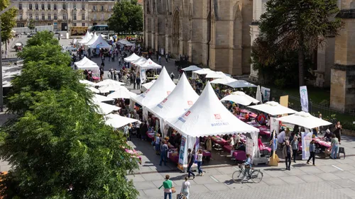 Gironde et Dordogne : nos idées sorties pour ce week-end
