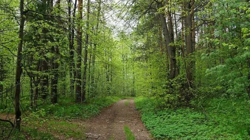 Gironde : l’auteur de plusieurs dépôts sauvages interpellé par les...