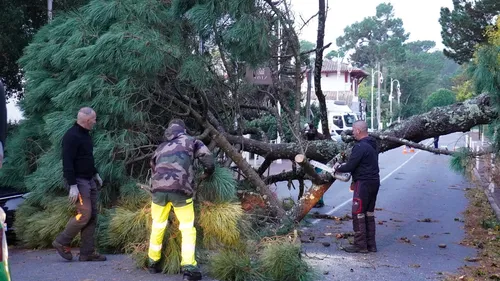 Tempête Benjamin : le point à la mi-journée en Gironde et Dordogne