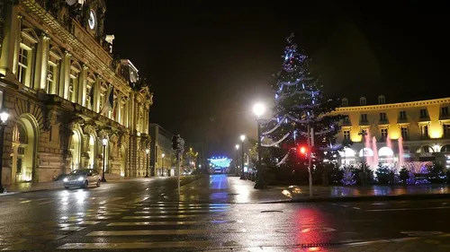 Tours : la ville recherche son grand sapin de Noël