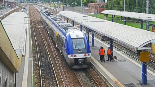 La ligne Angers-Samur à l’arrêt suite à un problème d’aiguillage