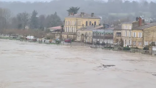Tempête Pedro : la Gironde se prépare à de nouveaux vents violents...