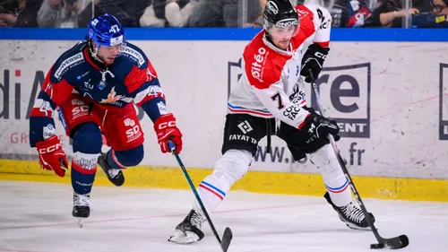Boxers de Bordeaux : le calendrier de la saison 2026/2027 de Ligue...