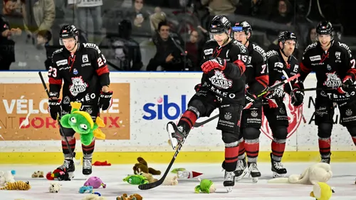 Boxers de Bordeaux : on connait la date du match des peluches !