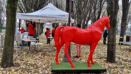Les professionnels de l’équitation mobilisés : des opérations...