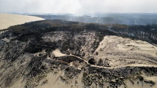 La Gironde repasse en vigilance rouge pour le risque de feux de forêt