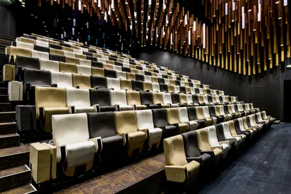 Ciné Gourmands à la Cité du Vin, pour allier grand écran et...