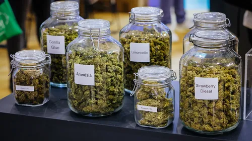 CBD Expo 2022 : où en est la législation autour du CBD ?