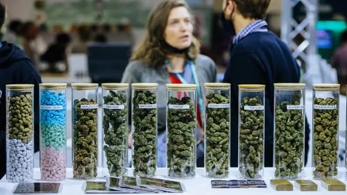 Au CBD Expo, des rencontres entre professionnels « pour une filière...