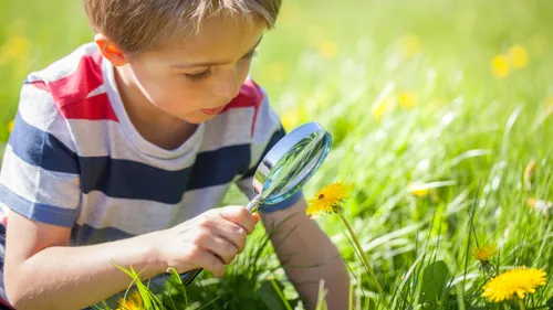 Le pays fléchois participe à un atlas de la biodiversité