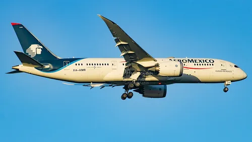 Mexique : des billets gratuits pour un bébé né dans un avion