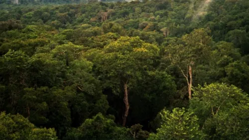 Brésil : mort de l’"Indien du trou", dernier survivant d’un peuple...