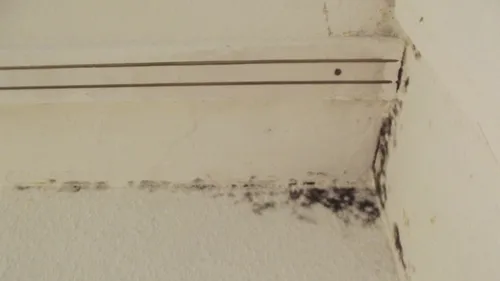 Gironde : la préfecture ordonne la fermeture d’un collège