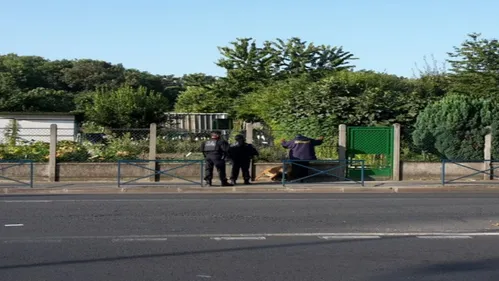 Aubervilliers : des manifestants évacués des jardins ouvriers ce...