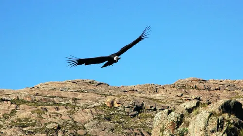 À la découverte de l’Argentine et son éco-tourisme