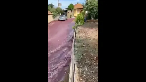 Portugal : un torrent de vin rouge dans les rues d’un petit village