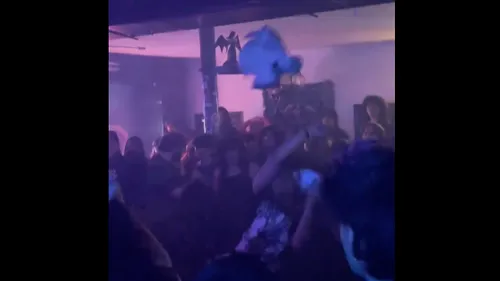 Un groupe de black metal s’excuse d’avoir lancé une tête de porc...