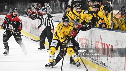 La fin du rêve pour les Boxers de Bordeaux