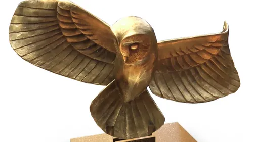 Fin de la chasse au trésor : la « Chouette d’or » a été trouvée !