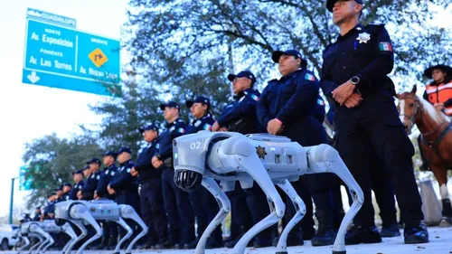 Mondial 2026 : au Mexique, des chiens-robots montent la garde ! 