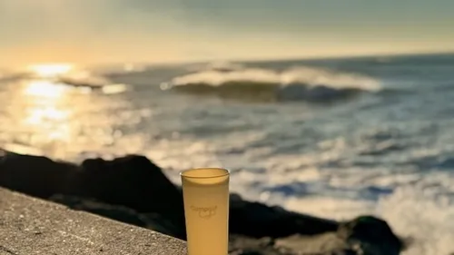 Gironde : un gobelet compostable signé TerraWin pour tourner la...