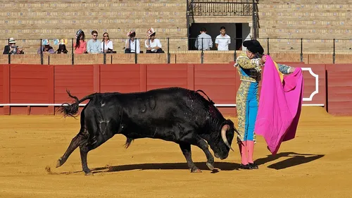 Un pays d’Amérique du Sud se prépare à interdire la corrida 