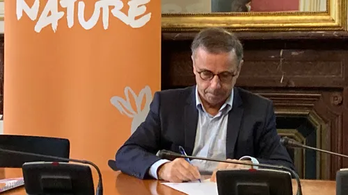 Bordeaux : la mairie veut végétaliser la ville 