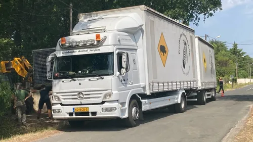 Incendies en Gironde : plus de 360 animaux du zoo du Bassin...