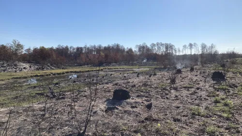 Incendies en Gironde : le domaine d'Hostens, symbole de dévastation