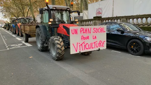 Viticulteurs Bordelais : la profession veut sortir la tête de l'eau