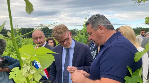 Arrachage des vignes : le ministre de l'agriculture en Gironde