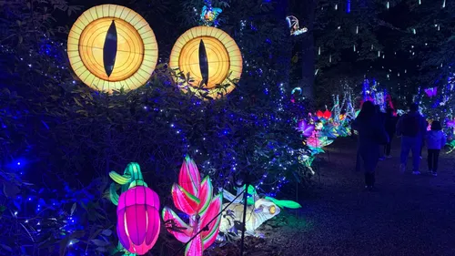 Découvrez la féérie des Lumières Sauvages au zoo de Thoiry