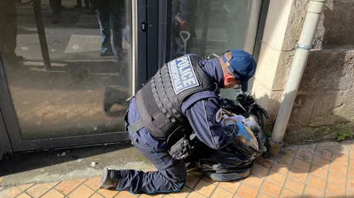 Bordeaux : la brigade anti-incivilités en action pour faire régner...