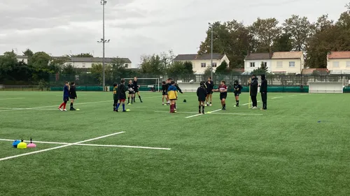 Coupe du monde de rugby : au Stade Bordelais Rugby chacun son camp...