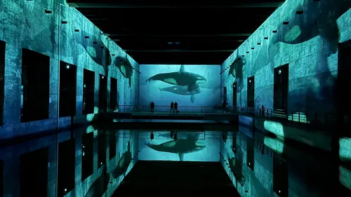 Gironde et Dordogne : les idées sorties pour ce week-end du 17 au...