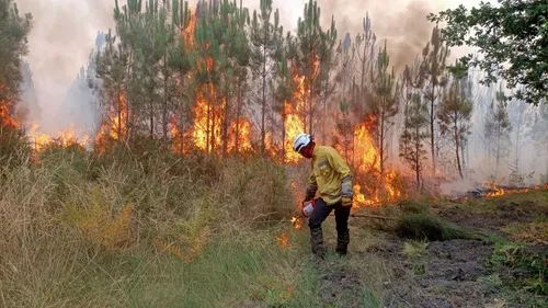 Gironde : un pyromane auteur d’incendies dans le Blayais ?