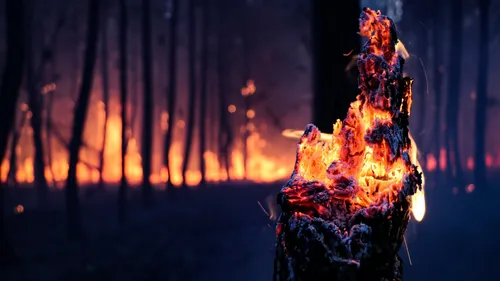 EN IMAGES: les incendies de Gironde vus par les pompiers du SDIS