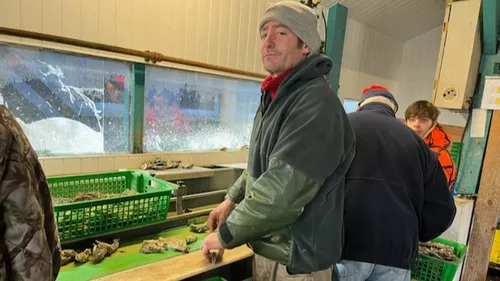 Bassin d'Arcachon : les ostréiculteurs continueront à se battre...