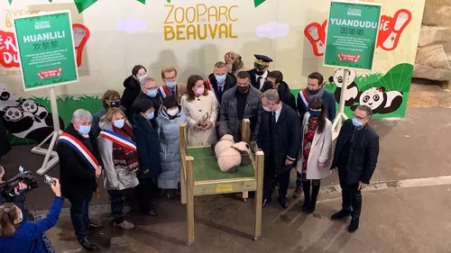 Les jumelles pandas du ZooParc de Beauval se prénomment Huanlili et...