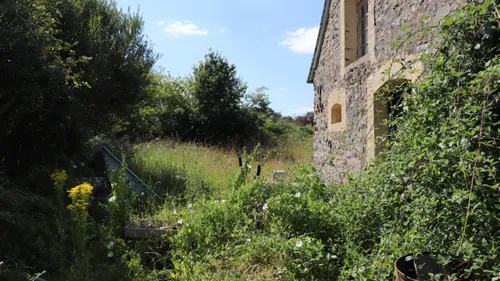 Refuge pour chien dans la Sarthe : l'idée un peu folle d'une...