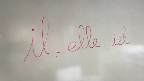 « Iel » entre dans le Robert, un député LREM de l’Indre s’insurge